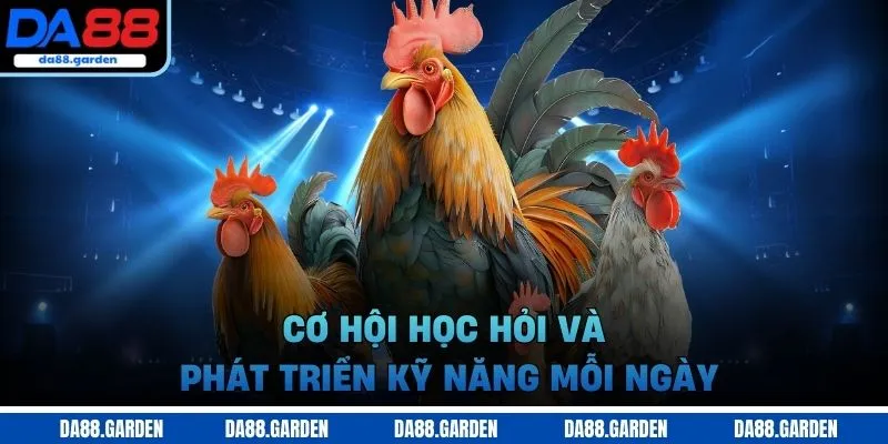 Đá Gà DA88